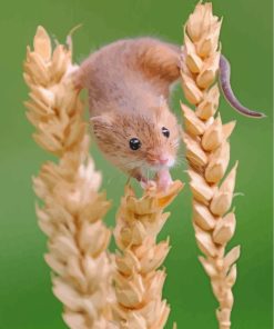 Hamster Trying To Eat Paint By Numbers