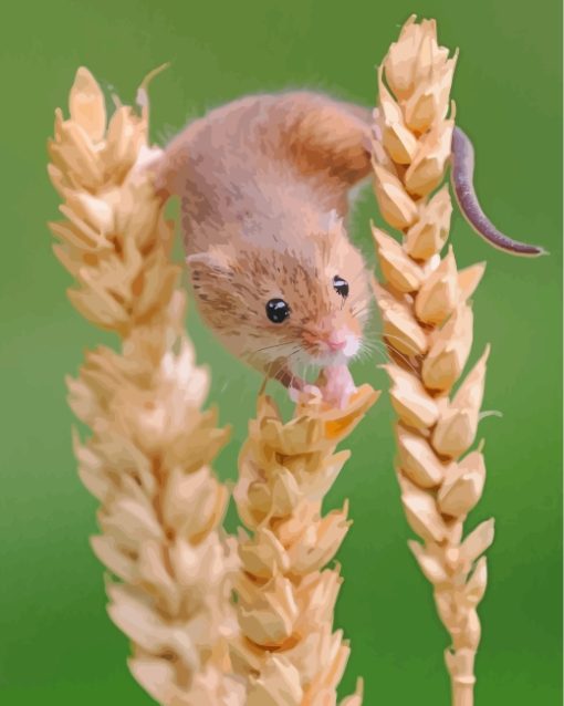 Hamster Trying To Eat Paint By Numbers