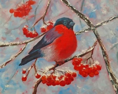 Lonely Bullfinch Paint By Numbers