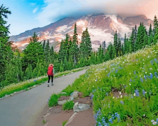 Mount Rainier Paint By Numbers