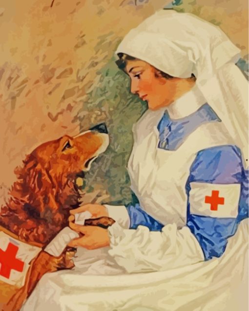 Nurse And Golden Retriever Paint By Numbers