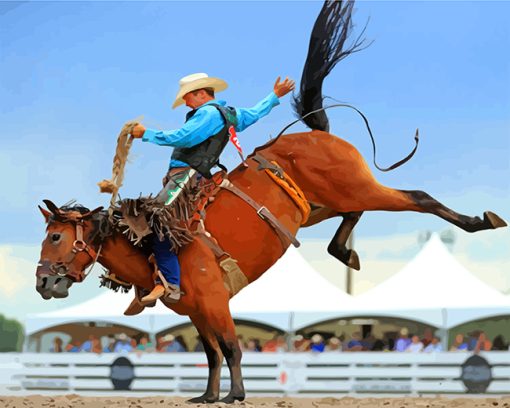 Rodeo Man Paint By Numbers