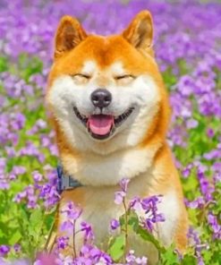 Smiling Shiba Inu Paint By Numbers