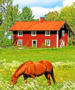 Brown Horse In Farm Paint By Numbers