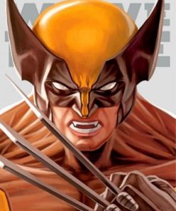 Wolverine Logan Paint By Numbers