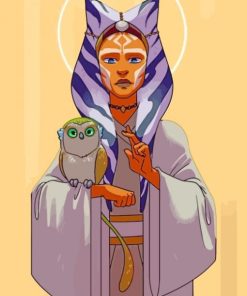 Ahsoka Tano And Owl Paint By Numbers