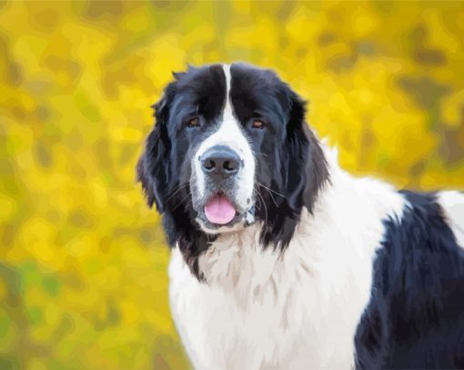 Landseer Dog Animal Paint by numbers