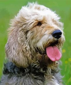 aesthetic Otterhound paint by numbers