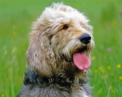 aesthetic Otterhound paint by numbers