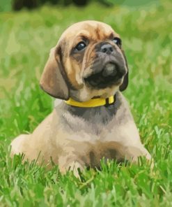 Puggle Dog Paint By Numbers