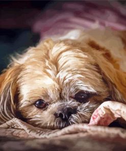 Cute Shihpoo Paint By Numbers