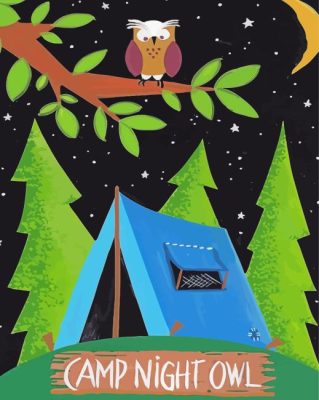 Camp Night Owl Paint By Numbers 