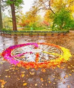 Central Park Strawberry Fields Paint By Numbers