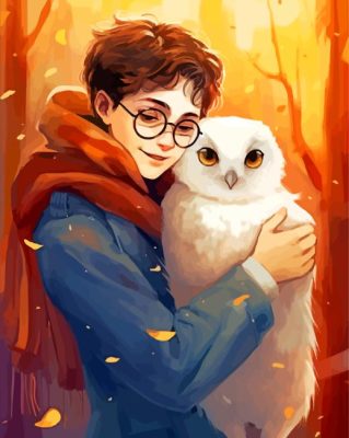 Harry Potter And Hedwig Paint By Numbers 