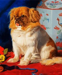 Pekingese Paint By Numbers