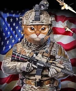 Military Cat Paint By Numbers