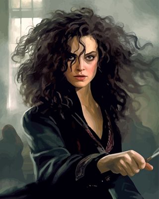 Bellatrix Lestrange Paint By Numbers