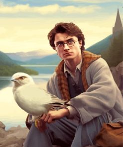 Harry Potter And Hedwig Paint By Numbers