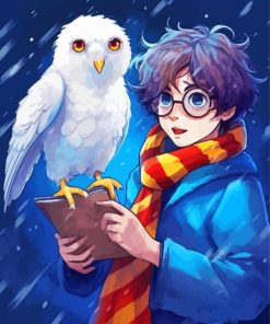 Harry And Hedwig Paint By Numbers