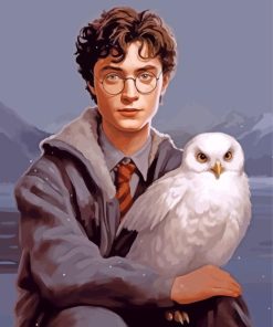 Harry Potter Hedwig Paint By Numbers