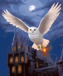 Harry Potter Hedwig Paint By Numbers