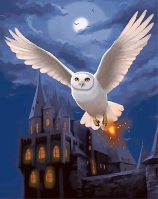 Harry Potter Hedwig Paint By Numbers