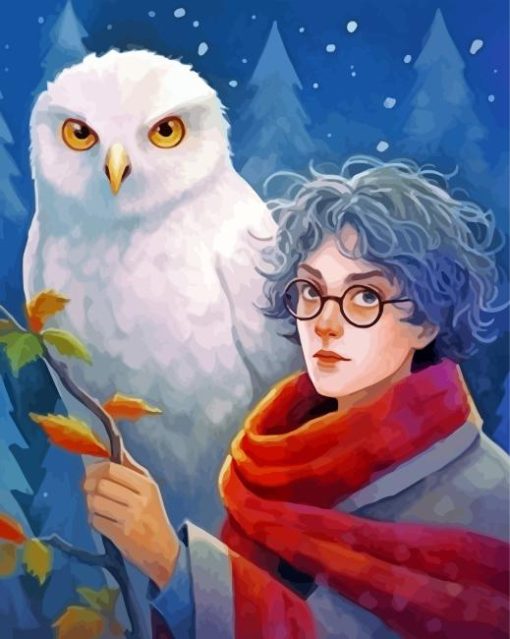 Hedwig And Harry Potter Paint By Numbers