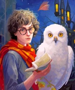 Hedwig And Harry Potter Paint By Numbers