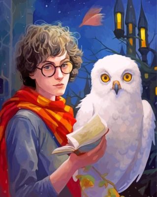 Hedwig And Harry Potter Paint By Numbers 