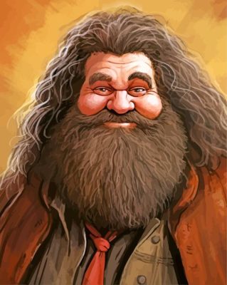 Rubeus Hagrid Art Paint By Numbers 