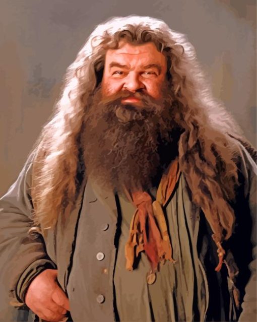 Rubeus Hagrid From Harry Potter Paint By Numbers