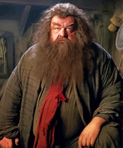 Rubeus Hagrid Paint By Numbers