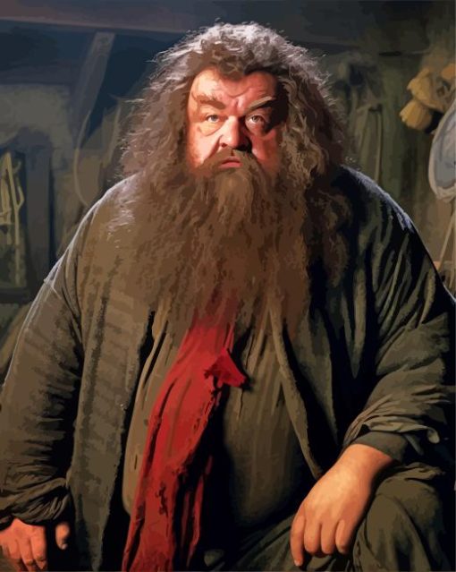 Rubeus Hagrid Paint By Numbers