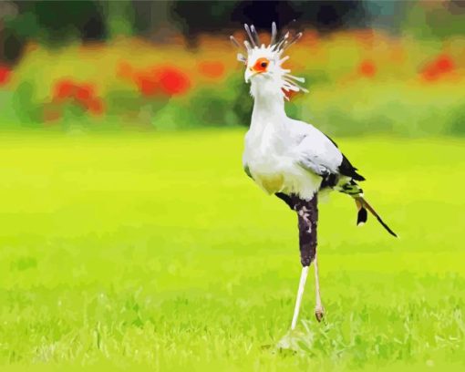 Secretarybird Paint By Numbers