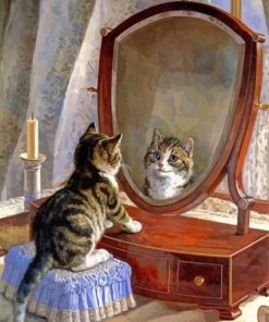 Cat Looking In The Mirror Paint By Numbers