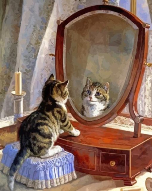 Cat Looking In The Mirror Paint By Numbers