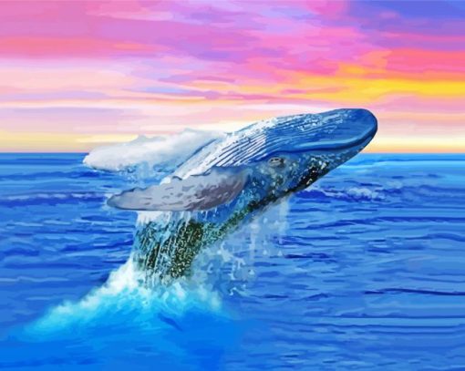 Humpback Whale At Sunset Paint By Numbers