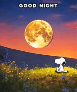 Good Night Snoopy Paint By Number