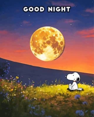 Good Night Snoopy Paint By Number