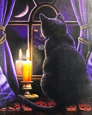 Black Cat By Candlelight Paint By Numbers