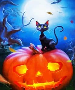 Black Cat Pumpkin Paint By Number