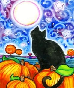 Black Cat Staring At Moon Paint By Number