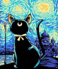 Black Cat Starry Night Paint By Number