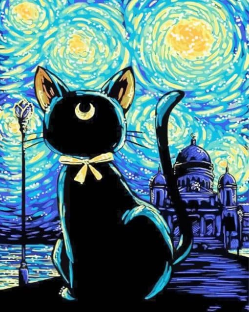 Black Cat Starry Night Paint By Number