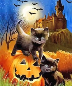 Black Kittens And Bats Paint By Number