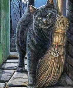 Cat With Broomstick Paint By Number