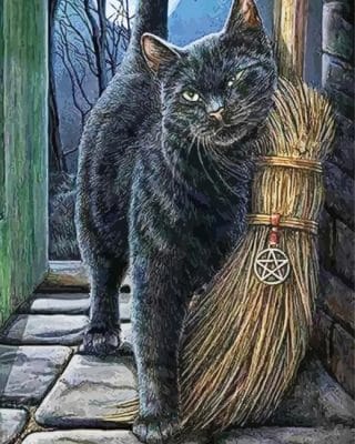 Cat With Broomstick Paint By Number