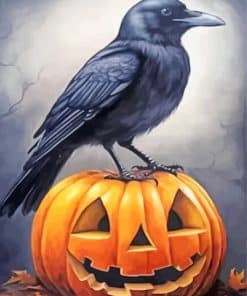 Crow Sitting on Pumpkin Paint By Number