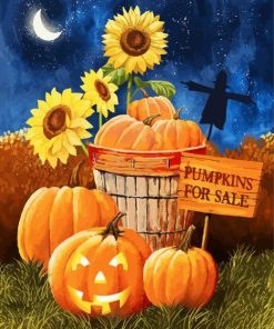 Pumpkin Sale Paint By Number