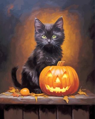 Black Cat And Pumpkin Paint By Number